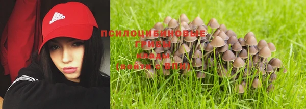 винт Верхний Тагил